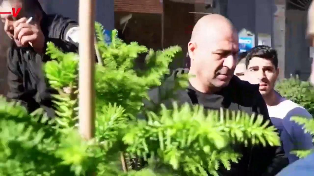 Jerusalem Spreads Festive Joy with Annual Christmas Tree Giveaway Amidst War