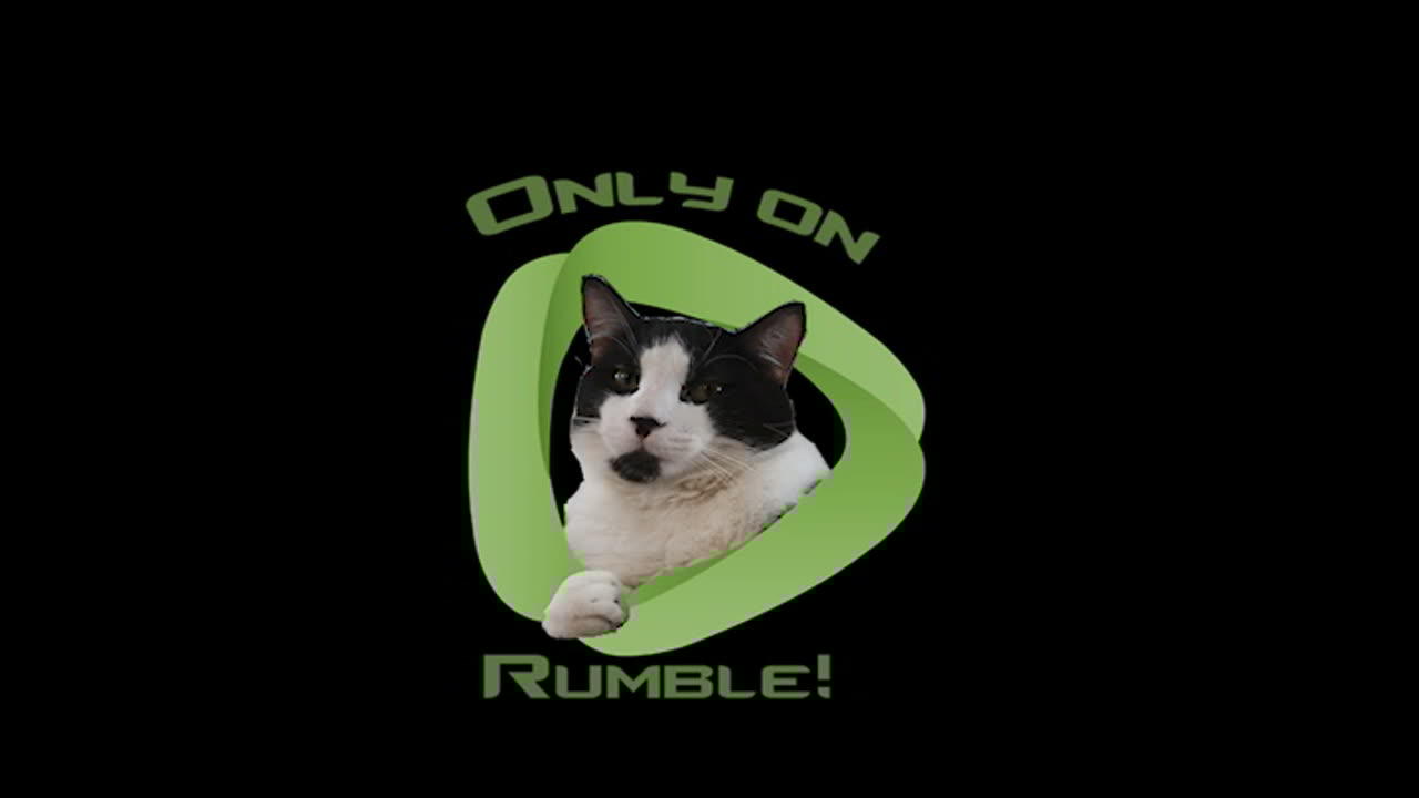 Video Games and News Highlights With Hamchops!