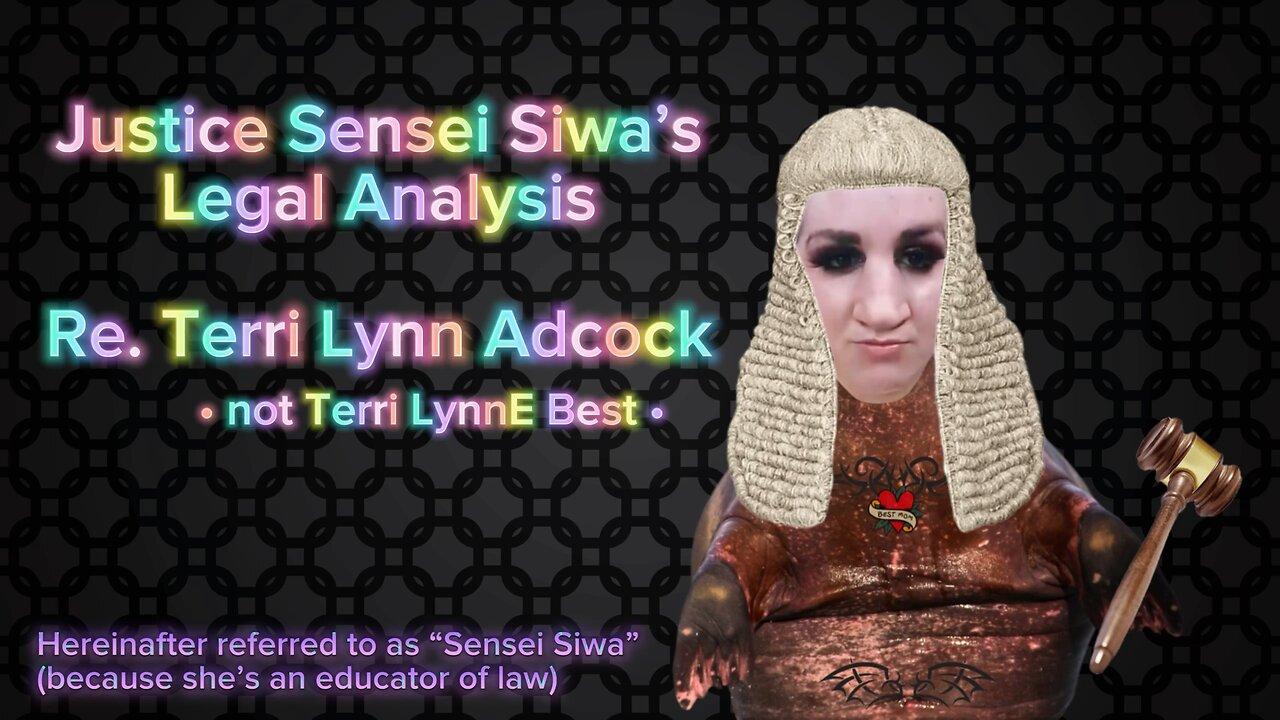Siwa Moon gets it all wrong re. Terri Lynn’s court records