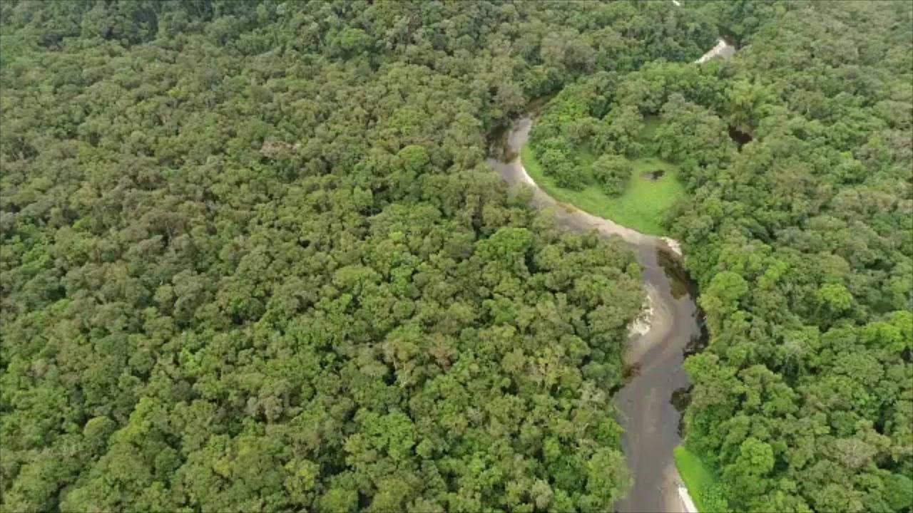 Brazil Takes Controversial Step Toward Repaving a Highway Through the Rainforest