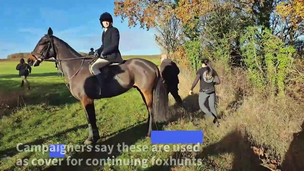 'Hunt saboteurs' try to outfox hunters in England's countryside