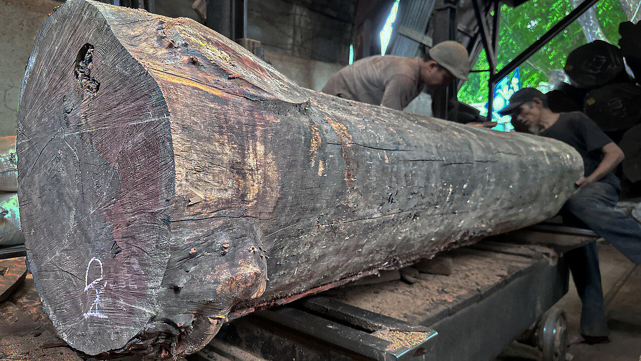 close up red grain wood sawmill process One News Page VIDEO