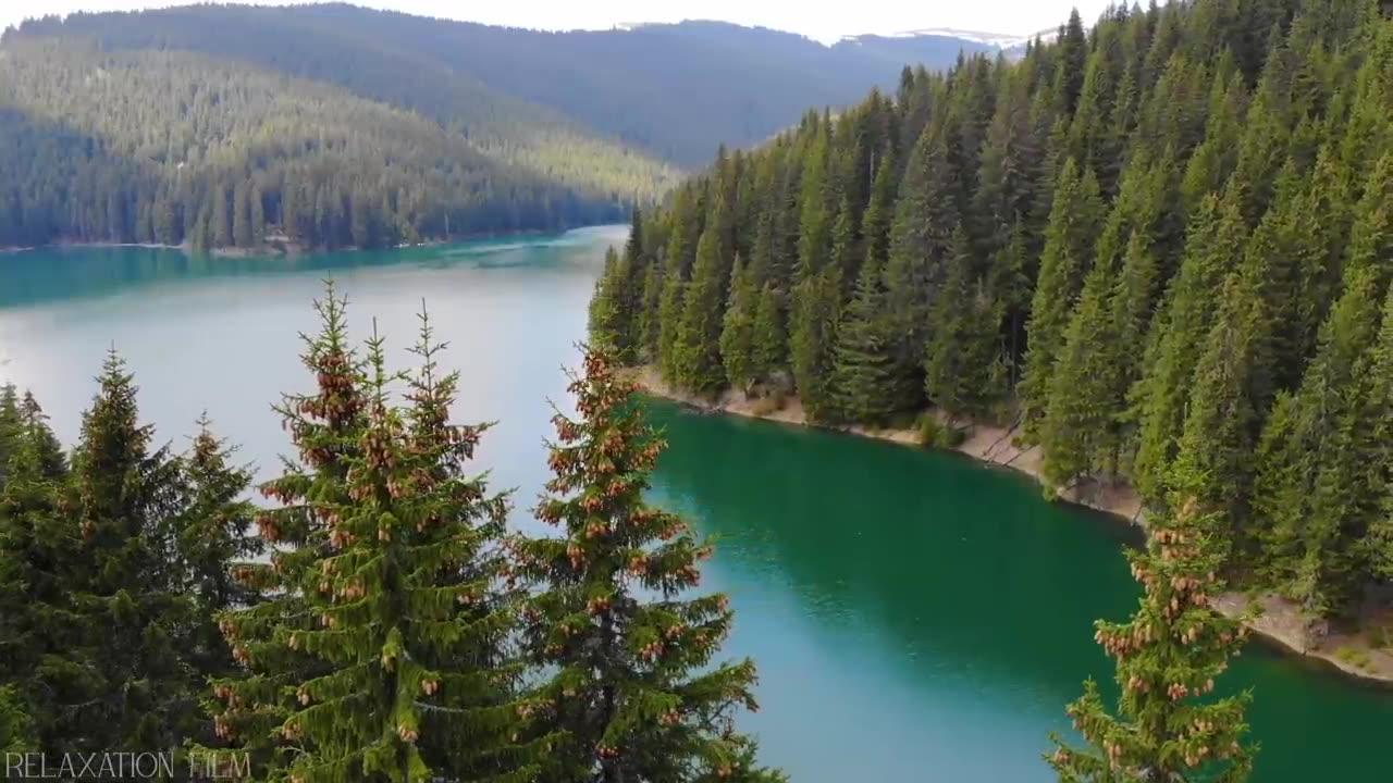 Nature Relaxation Film 4k Peaceful Relaxing One News Page Video Nature Relaxation Film 4k Peaceful Relaxing One News Page Video