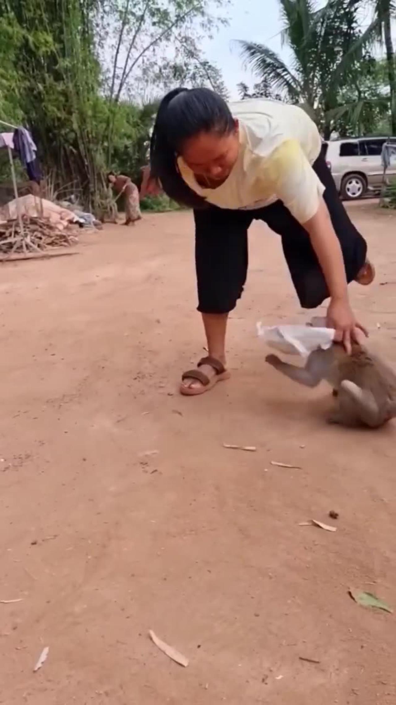 Monkey videos part-32