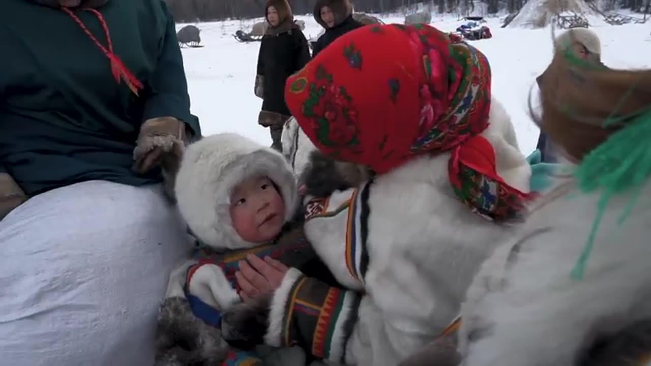 Primitive Life of Nomads of Arctic. Survival in Far North. Russia. Tundra Nenets - 73°c