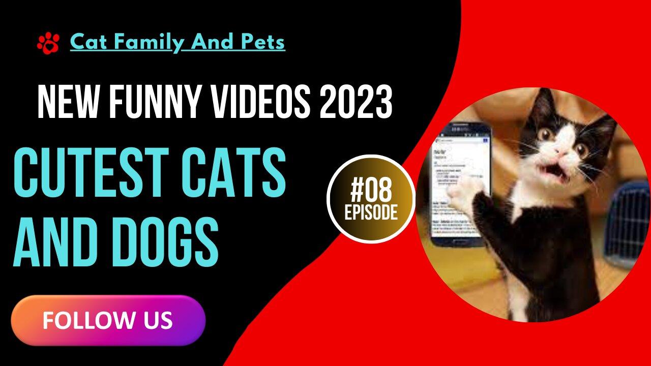 New Funny Videos 2023 😍 Cutest Cats and Dogs 🐱🐶 Part 08