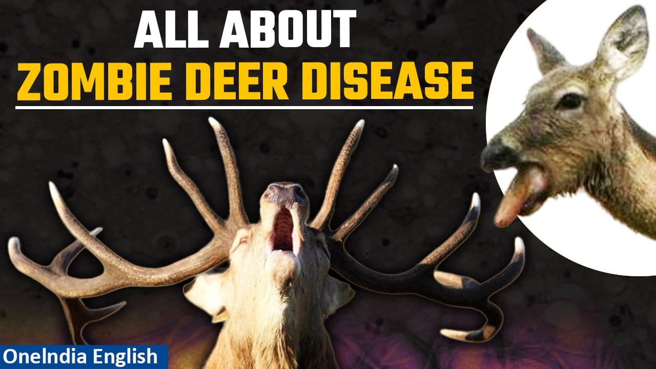 Chronic Wasting Disease: What is Prion? Can zombie deer disease spread? | Explained | Oneindia News