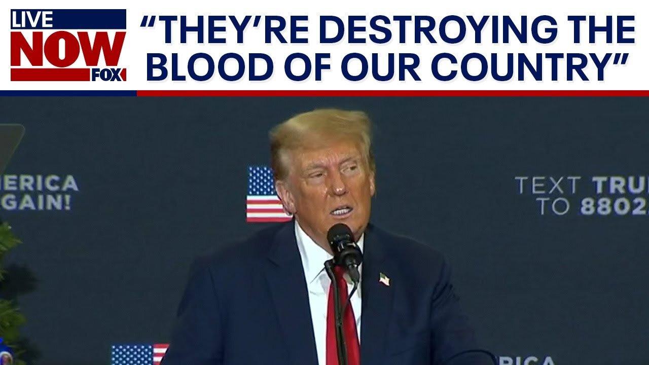 Trump says immigrants are 'destroying the blood of our country' at campaign event | LiveNOW from FOX