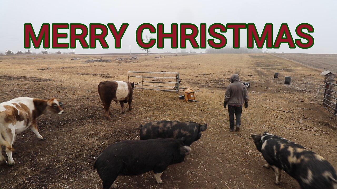 The Animals Don't Care What Day It Is | Christmas Eve Farm Vlog