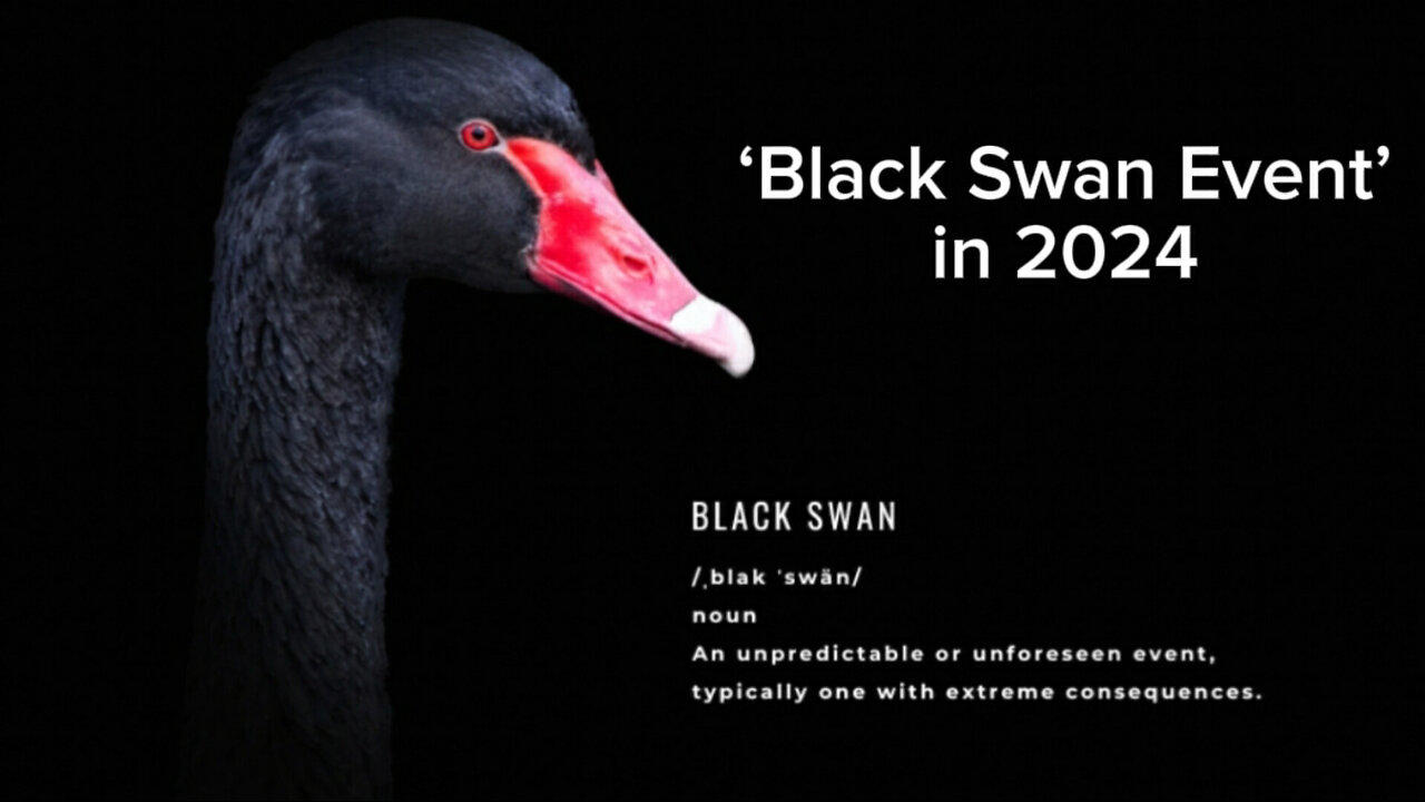 ‘Black Swan Event’ in 2024 One News Page VIDEO