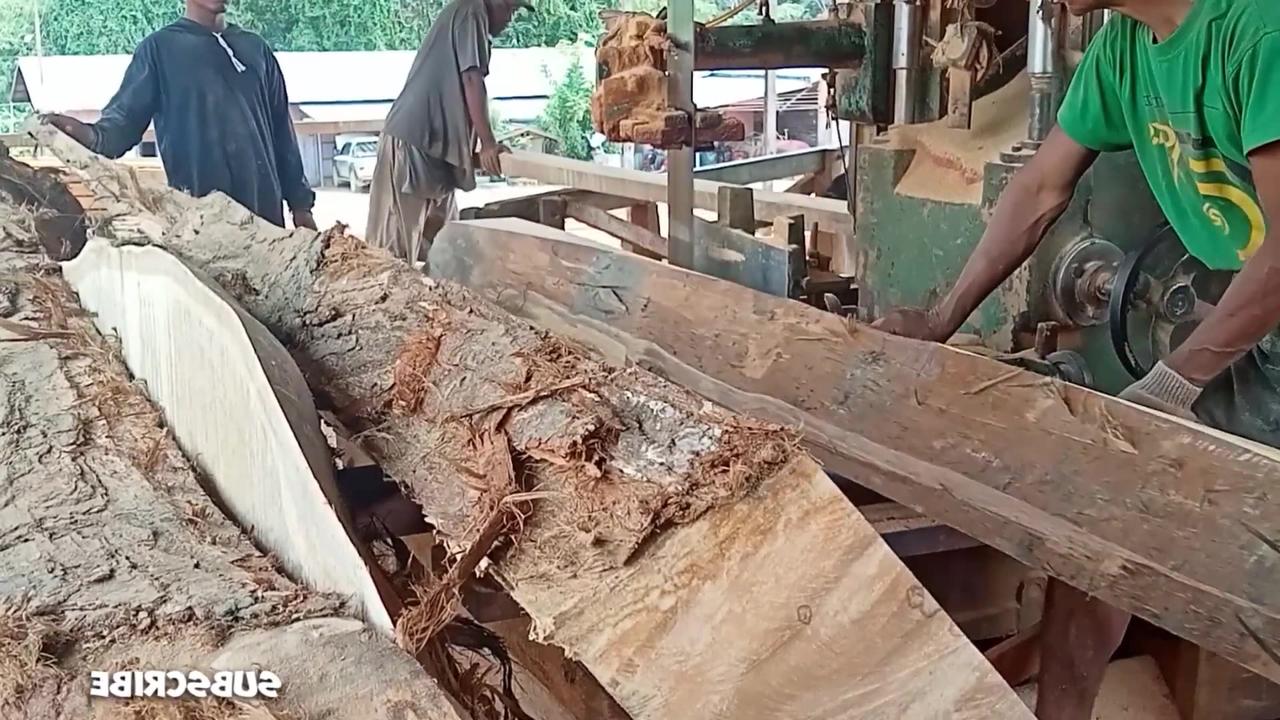 The Form Of Bengkirai Wood With Skin On The Saw
