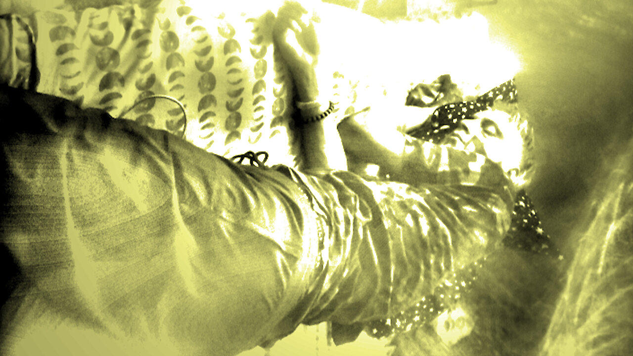 The Cat Came Back The Very Next Day One News Page VIDEO