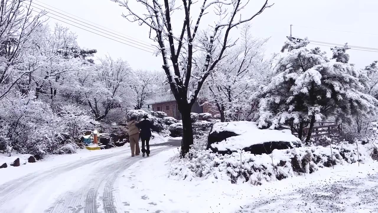 Enchanting Winter Wonderland: Music Video Featuring Breathtaking Seasonal Scenery