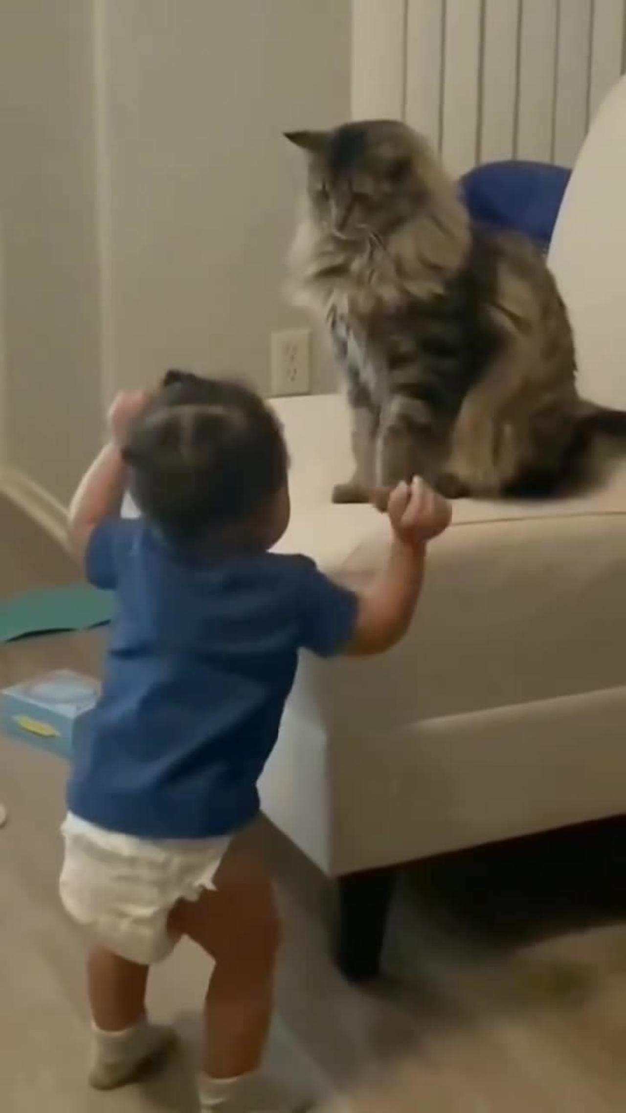 Unstoppable Laughter: Funny Cats' Antics with Little Kids!