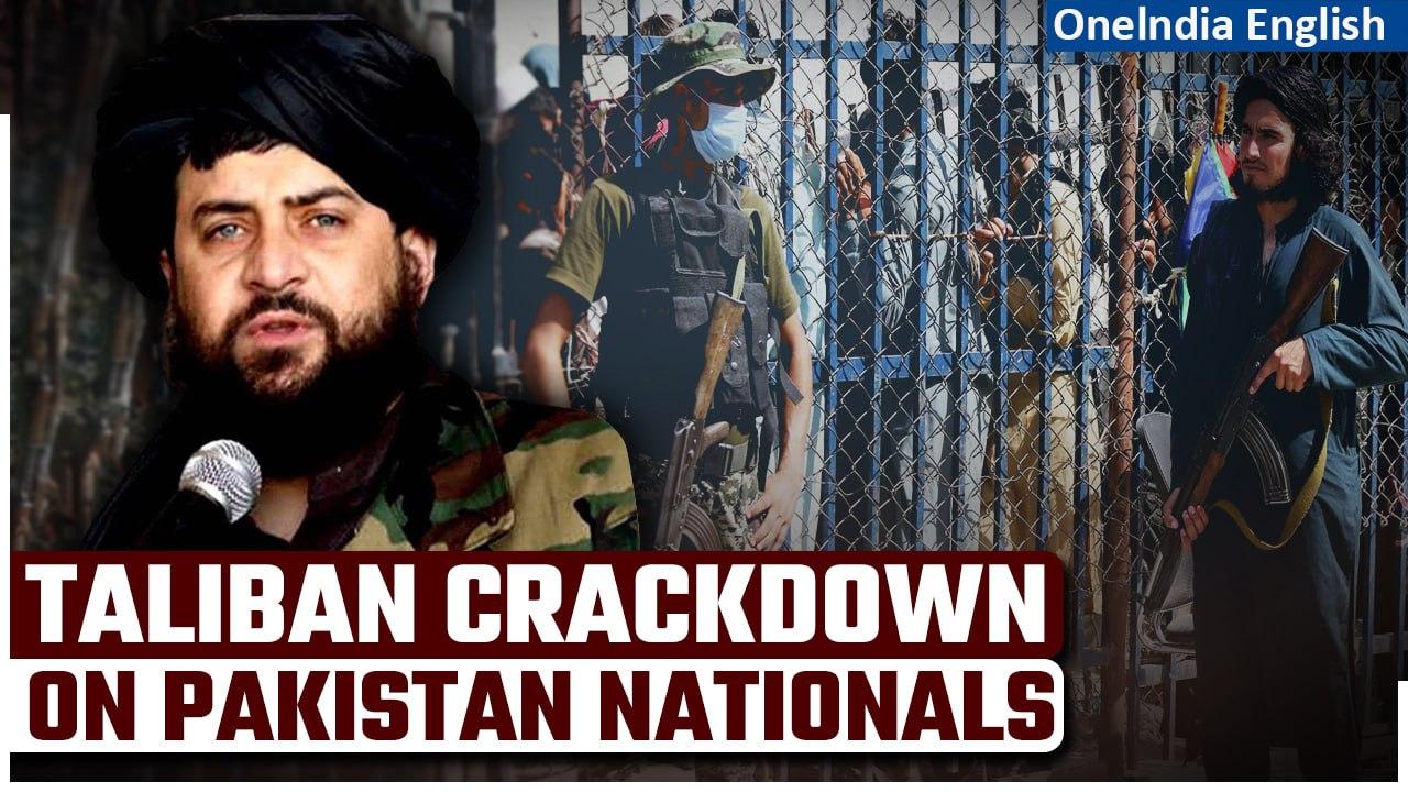 Taliban claim to eliminate Pakistanis allegedly engaged in attacks within Afghanistan | Oneindia