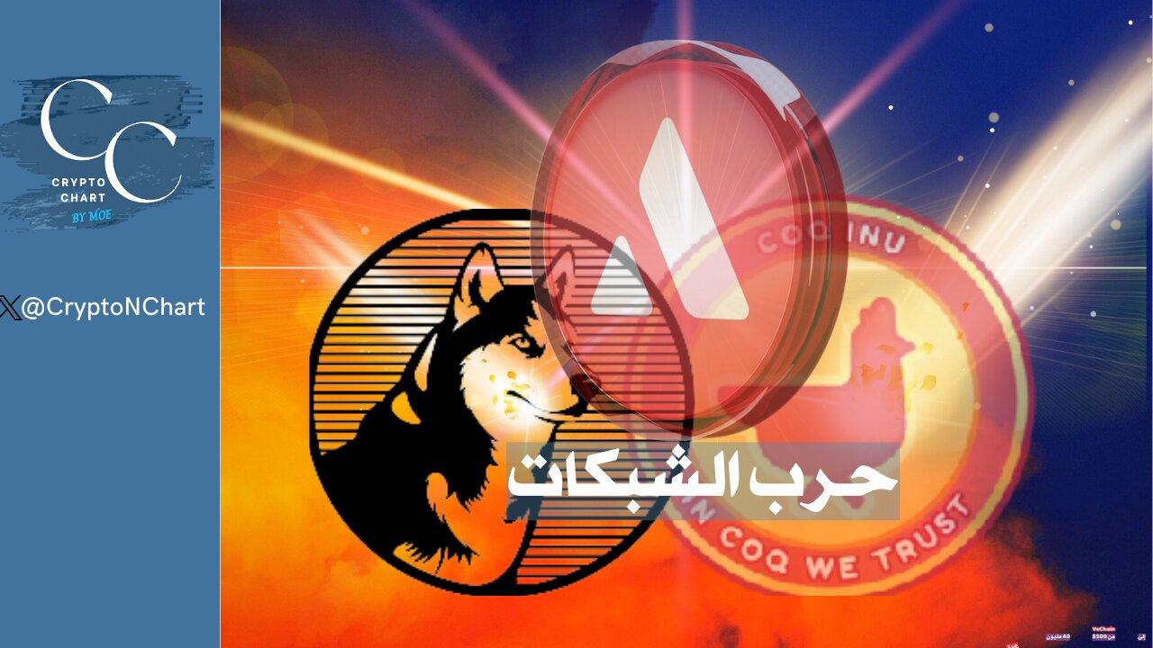 #coq  |   #husky  |   حرب الشبكات