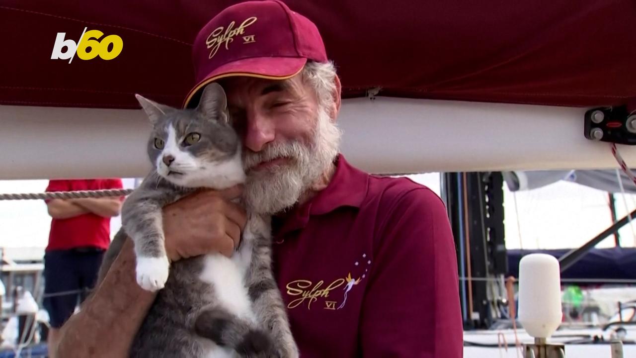 Celebrity Sailing Cat Completes Yacht Race in Australia