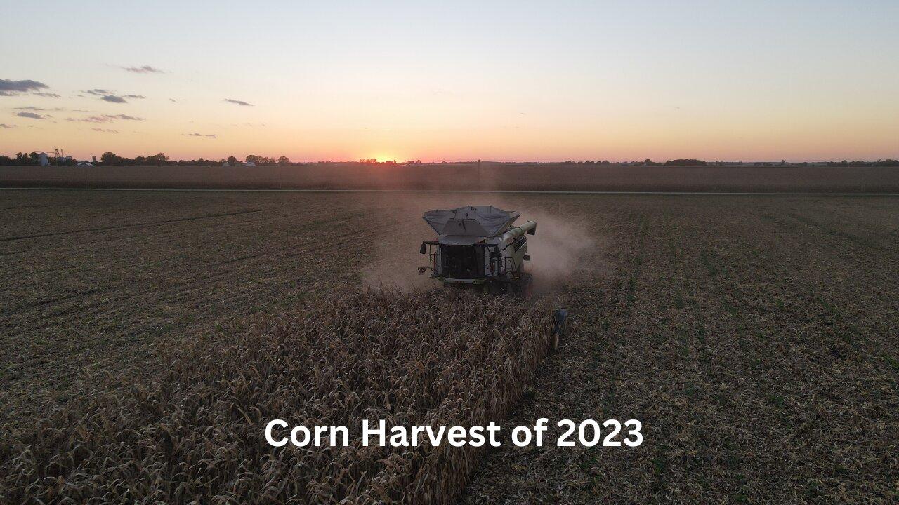 Corn Harvest of 2023 One News Page VIDEO