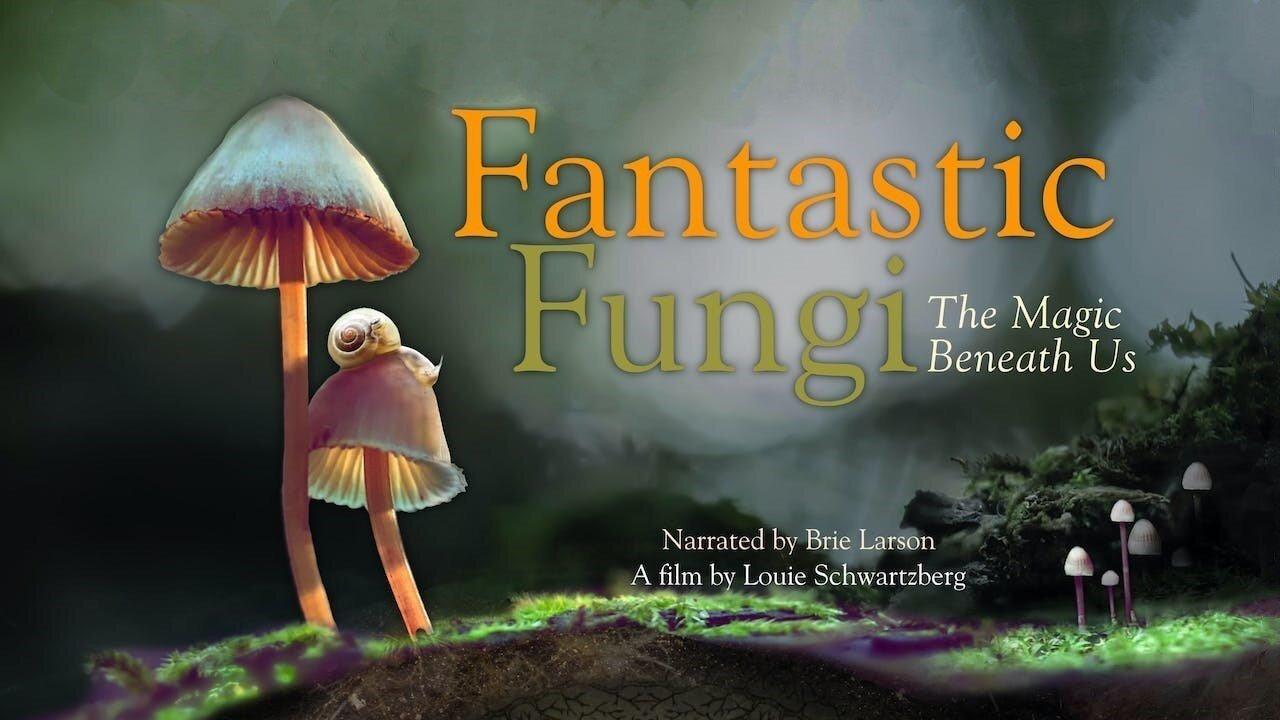 Fantastic Fungi (2019) 🍄