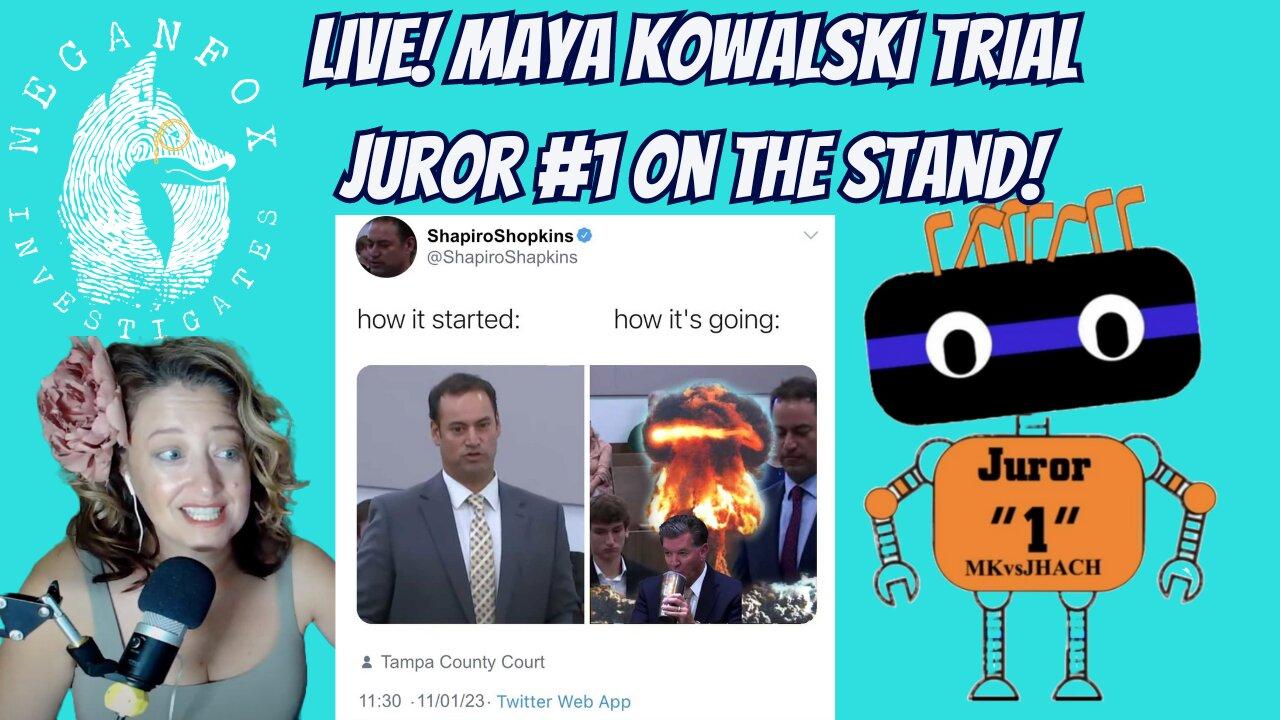 Take Care of Maya Trial: Juror #1 On the Stand!