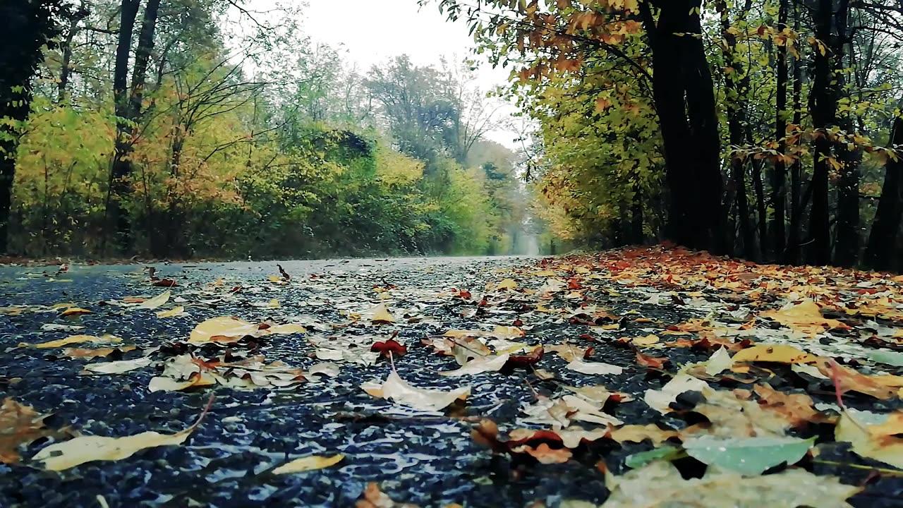 Relaxing Rain Music with Natural sounds of Rain drop, Good for Morning Fresh Start with Tea Break