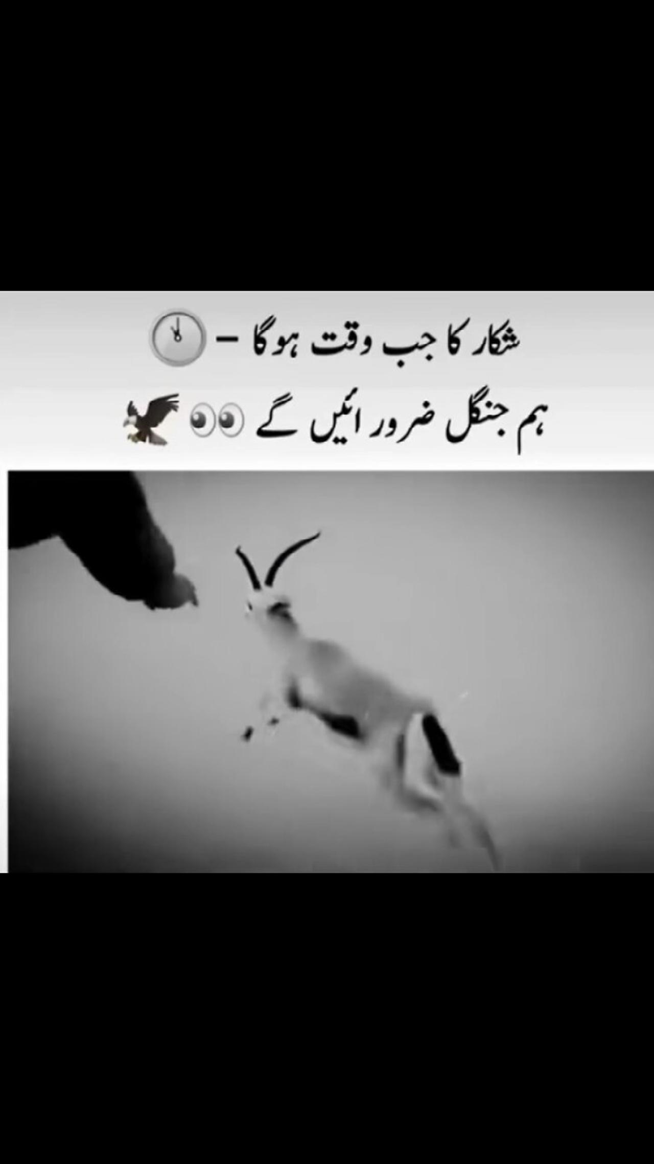 January 3, 2024 One News Page VIDEO