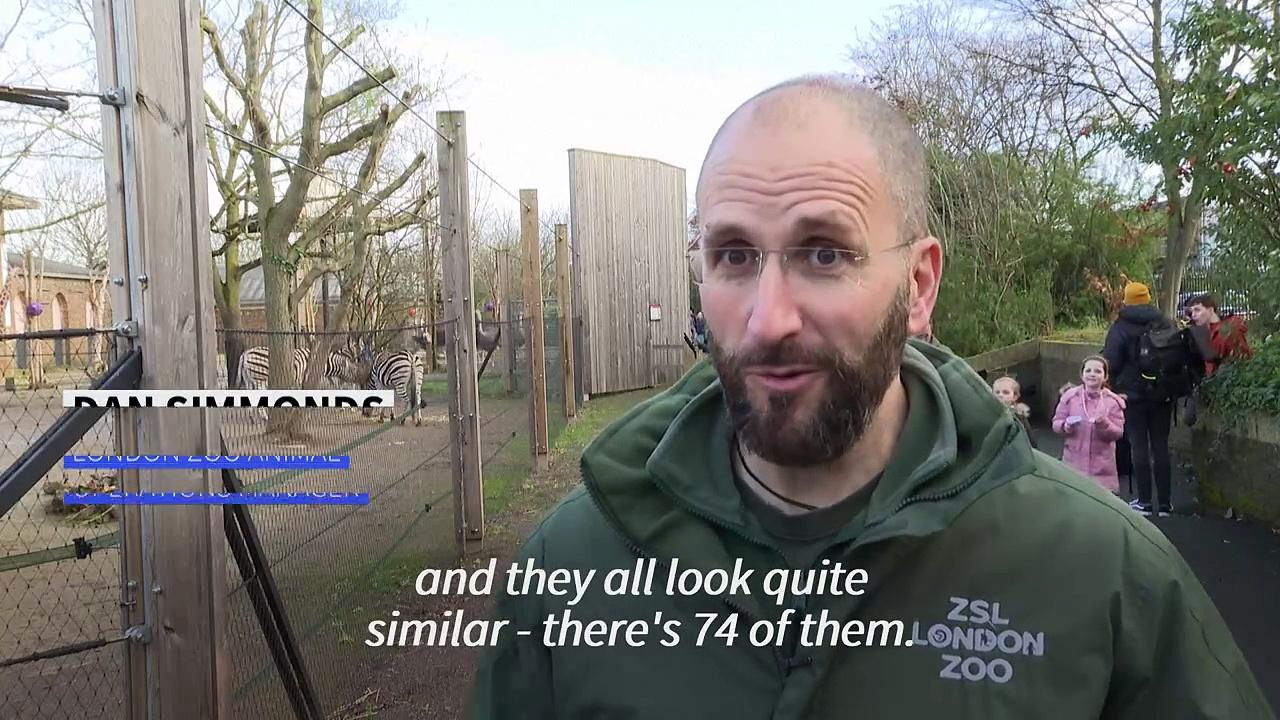 London Zoo kicks off annual census for animals