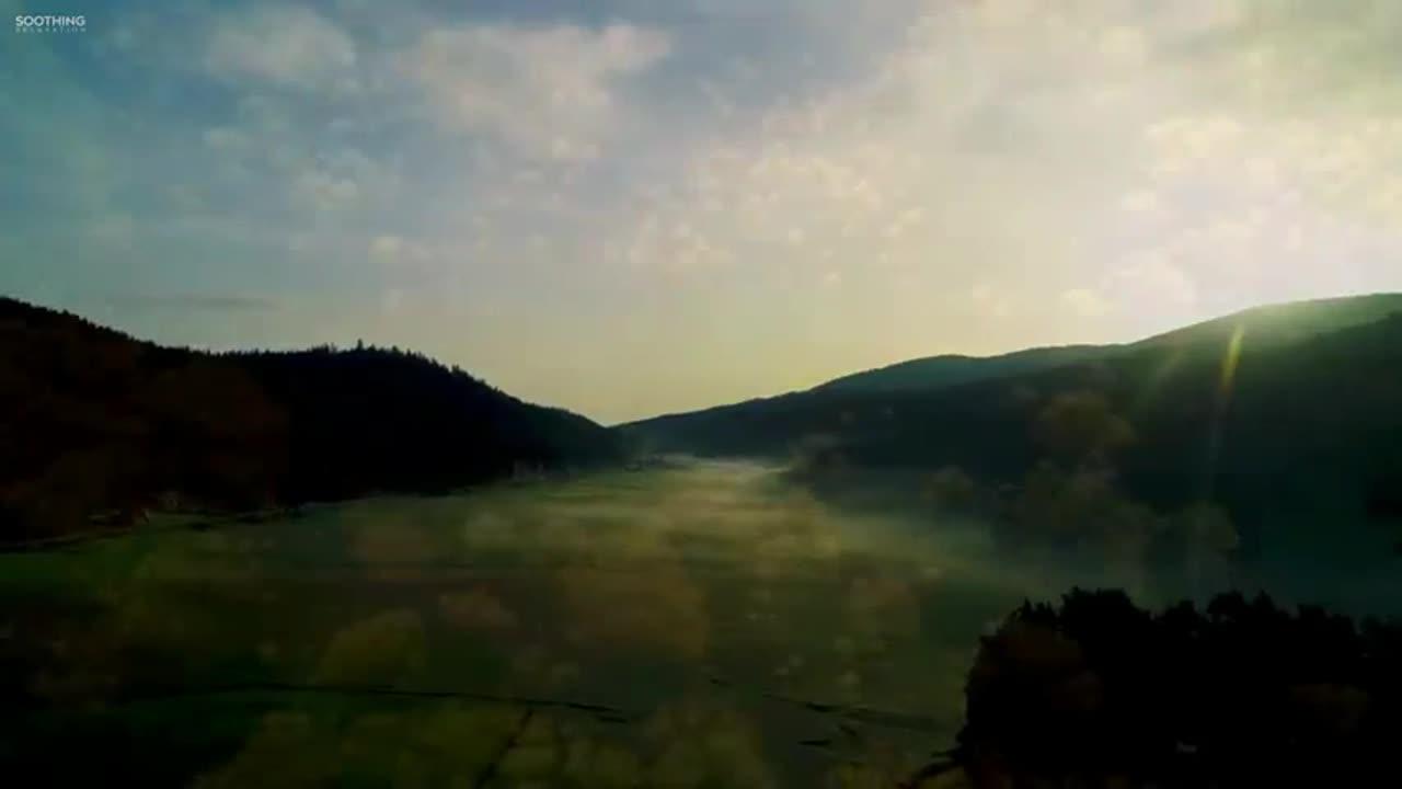 Soothing Nature Sounds Forest Sleep And One News Page Video