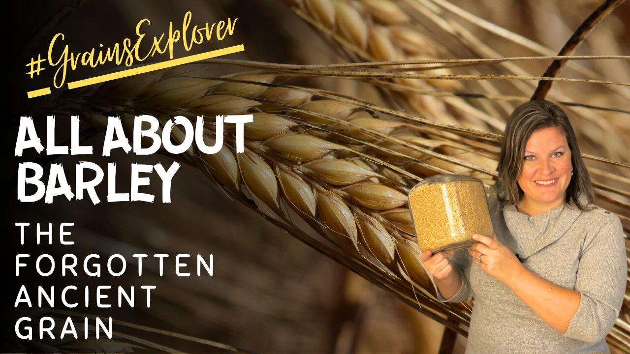 Let's Talk About Barley | January #GrainsExplorer | How to Use Barley | Is Barley Whole Grain?