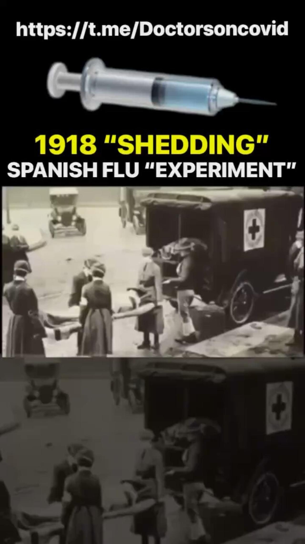 The 1918 Spanish flu experiment