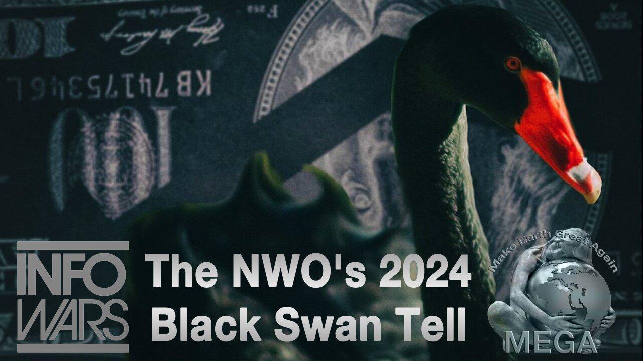 The NWO S 2024 Black Swan Tell Blame Your NewsR VIDEO   1704451948 The NWO Apos 2024 Black Swan Tell Hires 