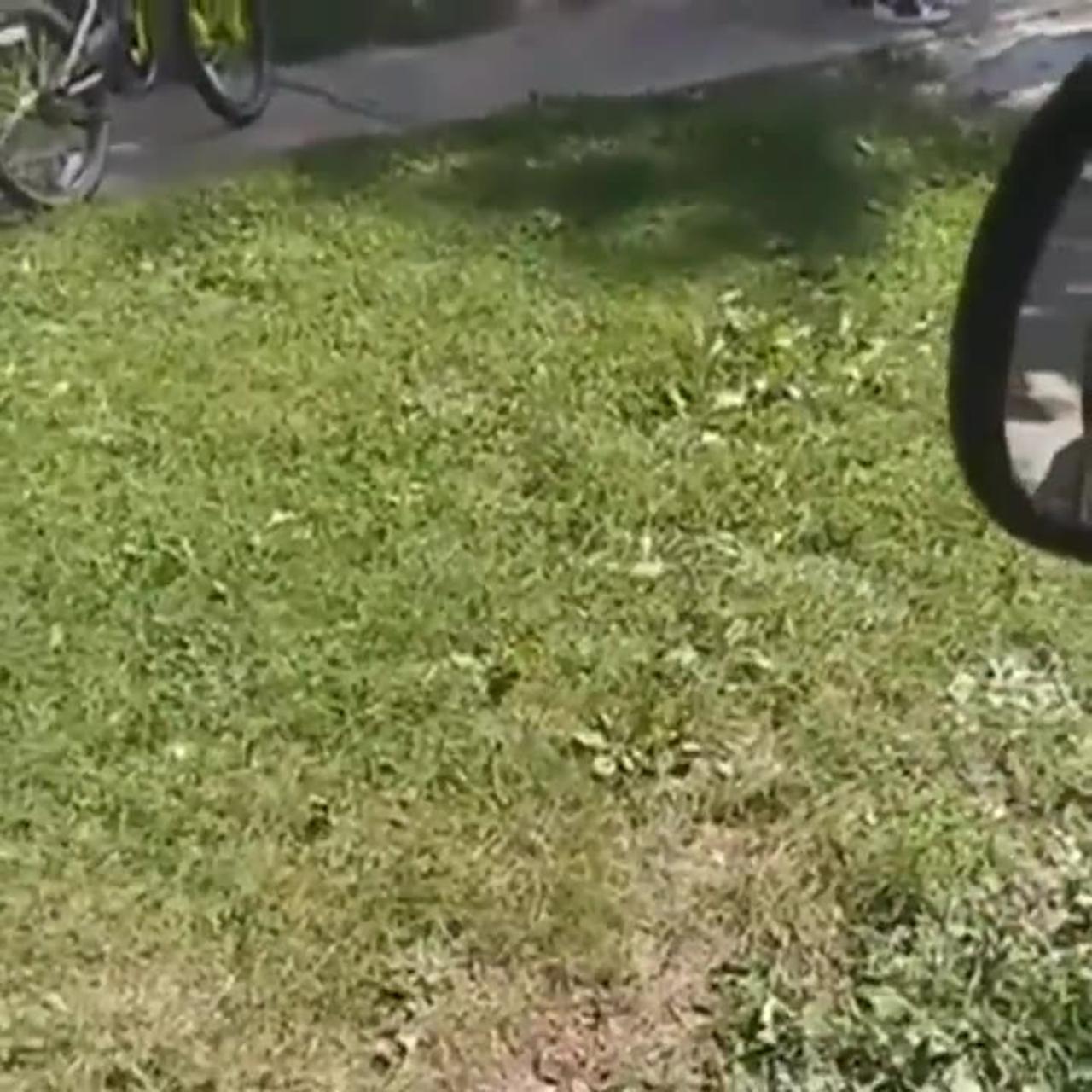 Ohio Man Livestreams Own Death on Facebook Live Due to Speeding