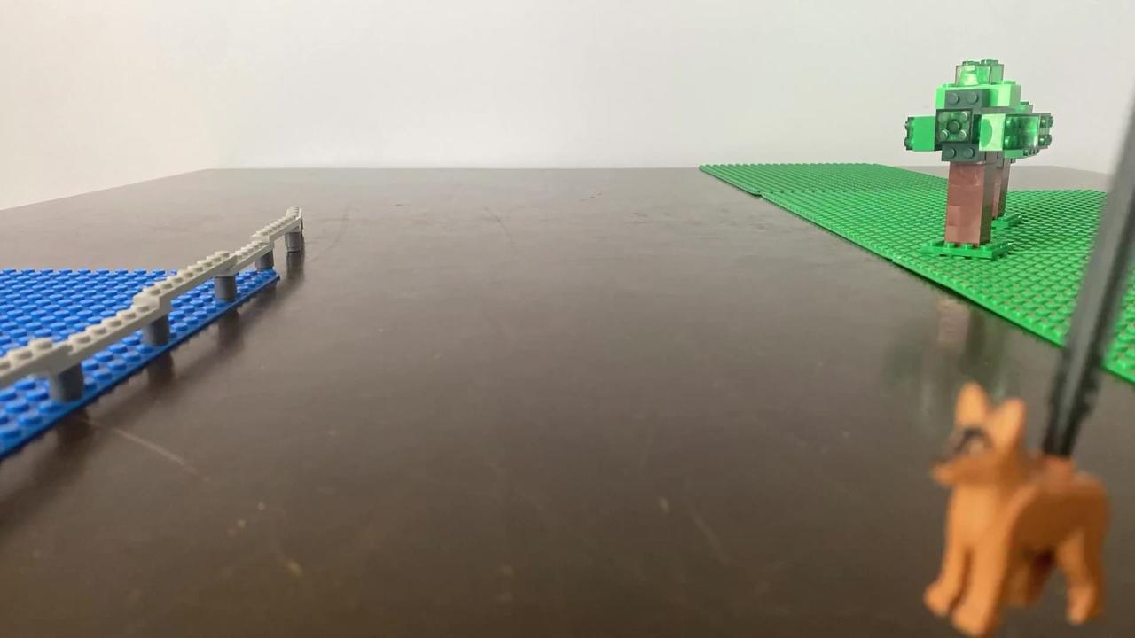 Kangaroo jumps into car One News Page VIDEO