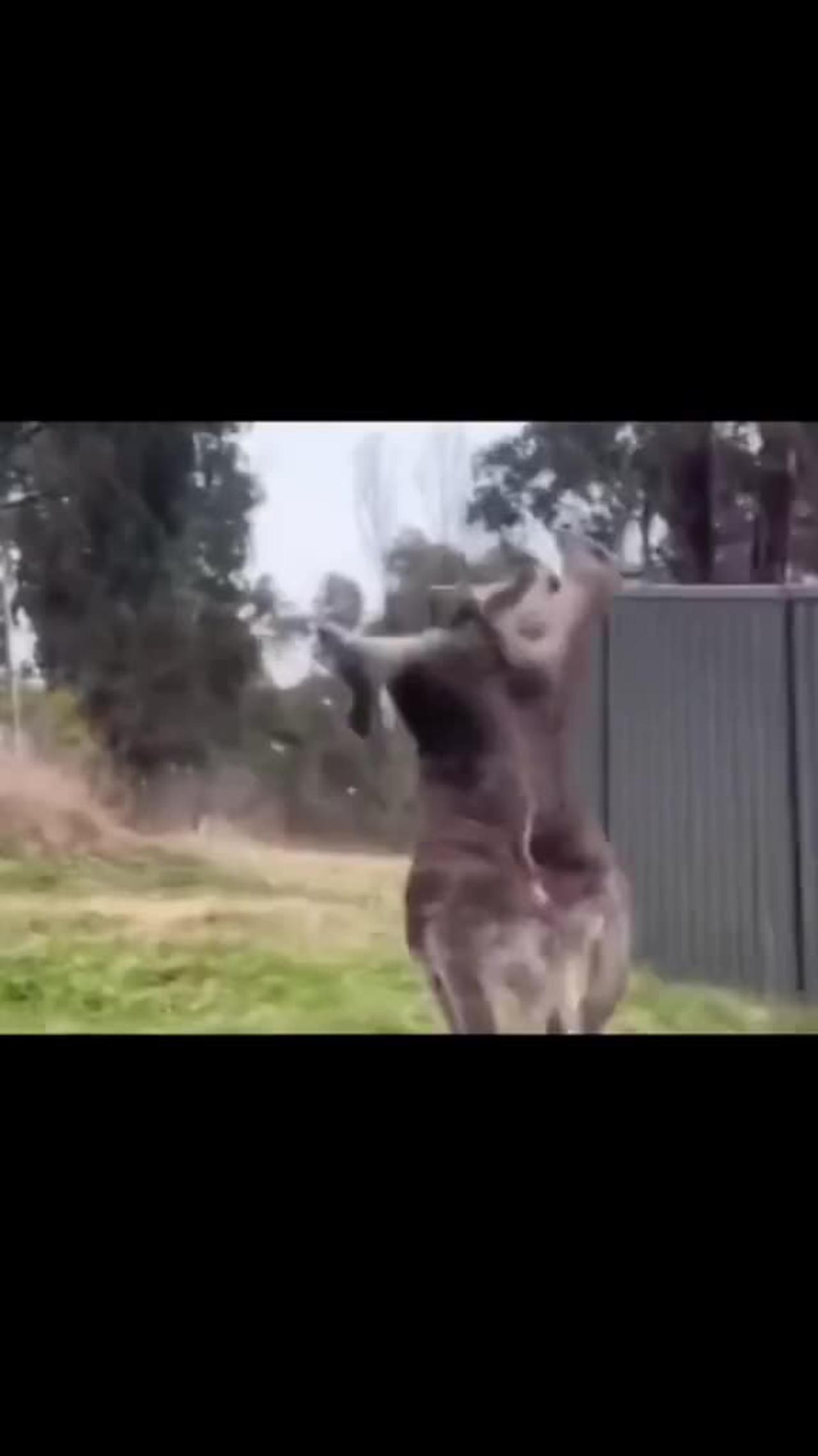 January 6, 2024 One News Page VIDEO