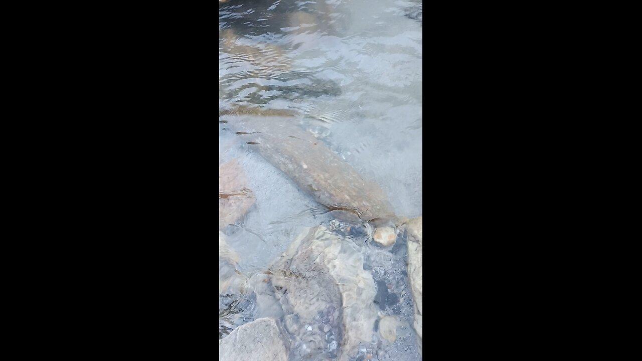 Parvati river, Kasol