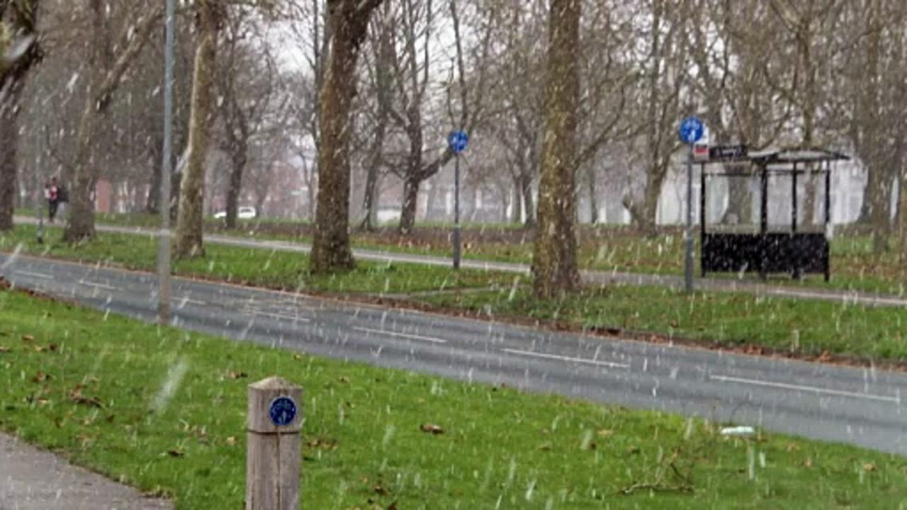Snow falls in Essex as new weather warning issued