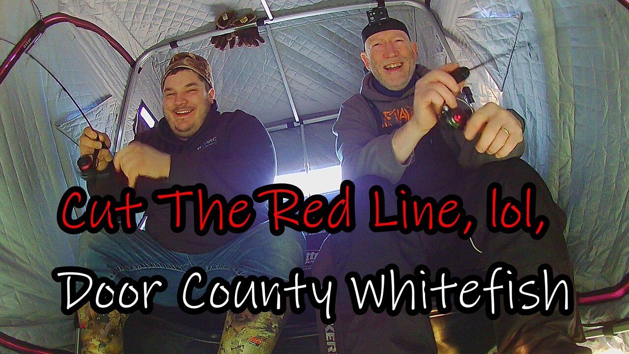 Cut The Red Line, lol, Door County Whitefish