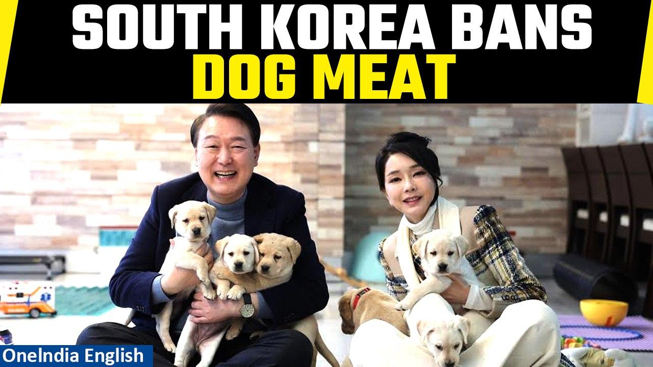 South Korea's Parliament Passes Bill to Ban Dog Meat Trade, Details Inside | Oneindia News
