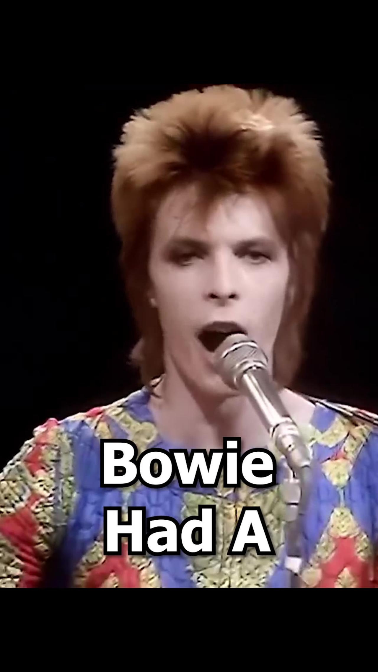 DAVID BOWIE’S BIRTHDAY!! 🎉 - January - One News Page VIDEO