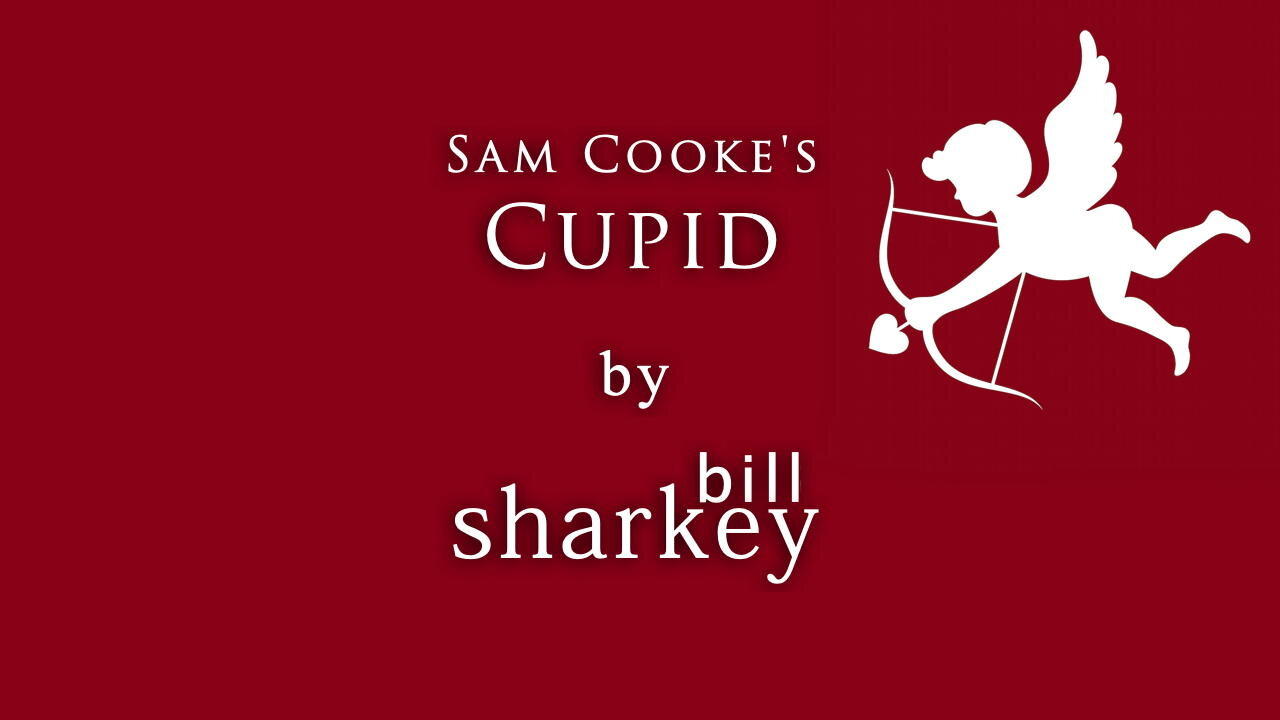 Cupid - Sam Cooke (cover-live by Bill Sharkey)