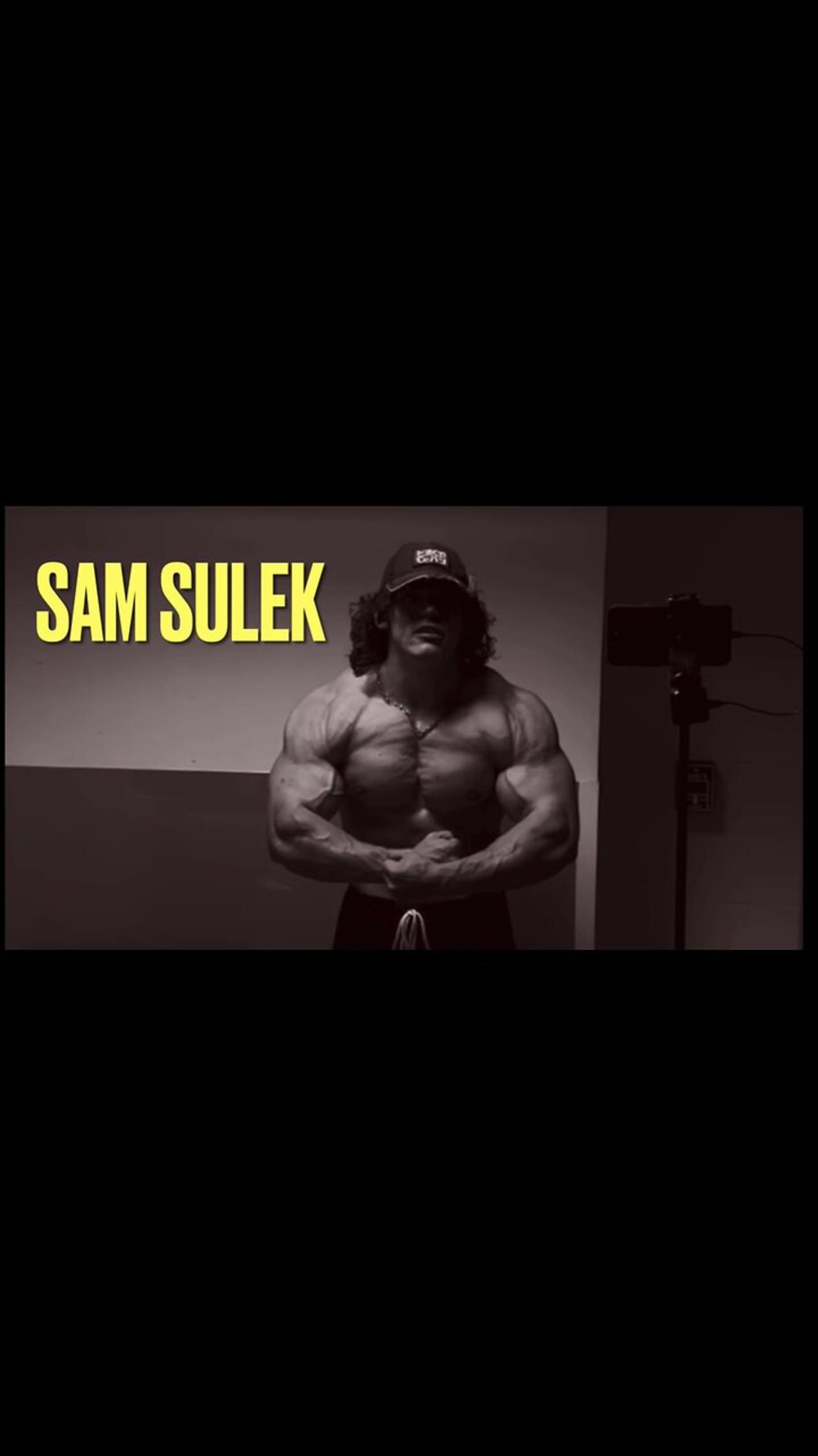 Sam Sulek Workout Routine 50 - l34rnrz