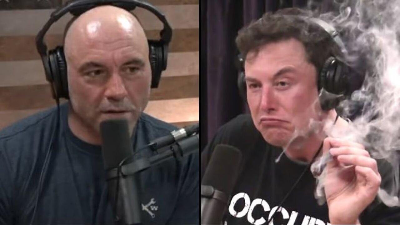 The Joe Rogan Podcast With Elon Musk - One News Page VIDEO