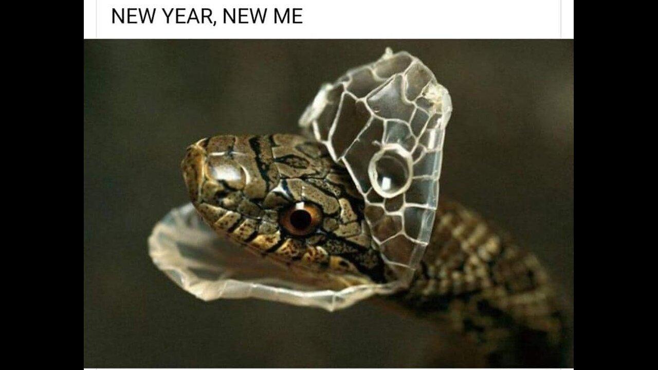 LUCY LUCIFER SATAN IS FEMALE! The Demon Queen - One News Page VIDEO