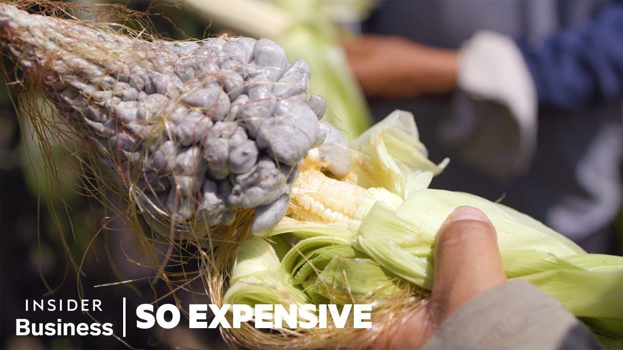 Why Huitlacoche (Corn Smut) is So Expensive | So Expensive