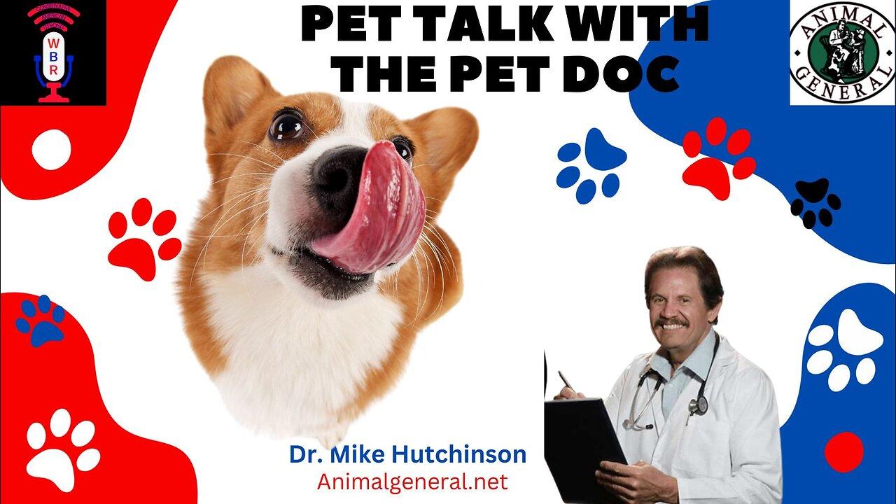 Pet. Talk With The Pet Doc One News Page VIDEO
