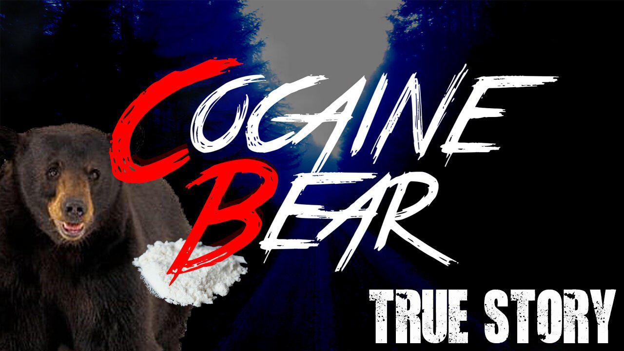Cocaine Bear: Actual Story