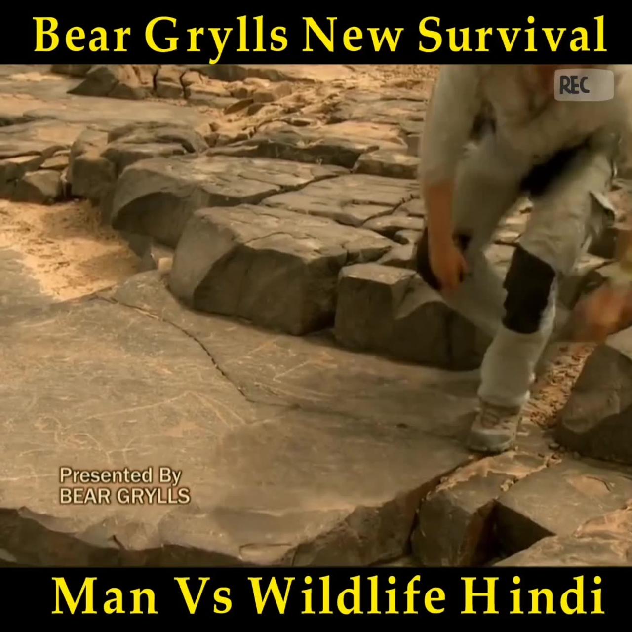 Bear Grylls survival