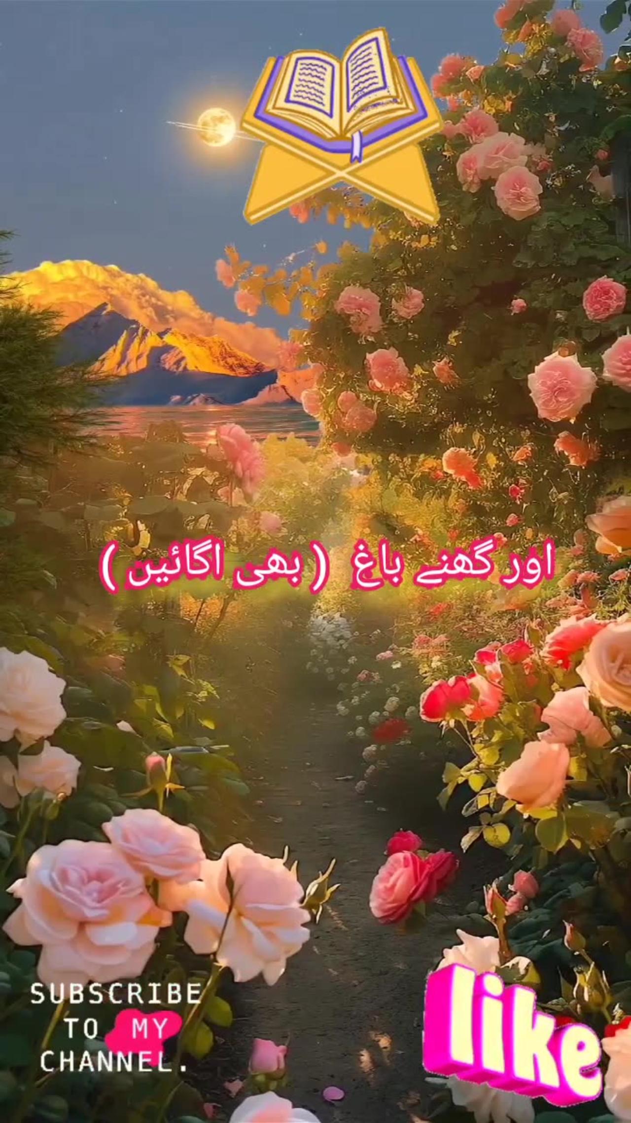 Surah Al Naba Beautiful Recitation with English - One News Page VIDEO