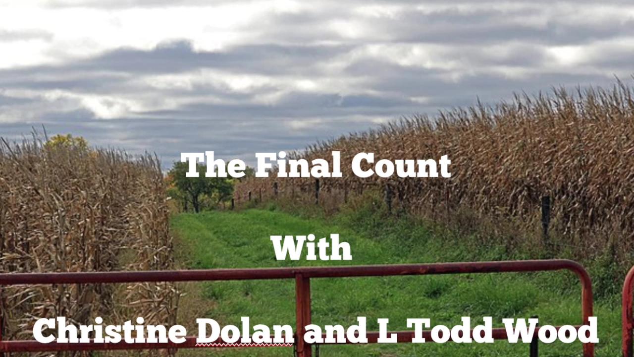 LIVE 12pm EST: 'The Final Count' With Christine Dolan And L Todd Wood