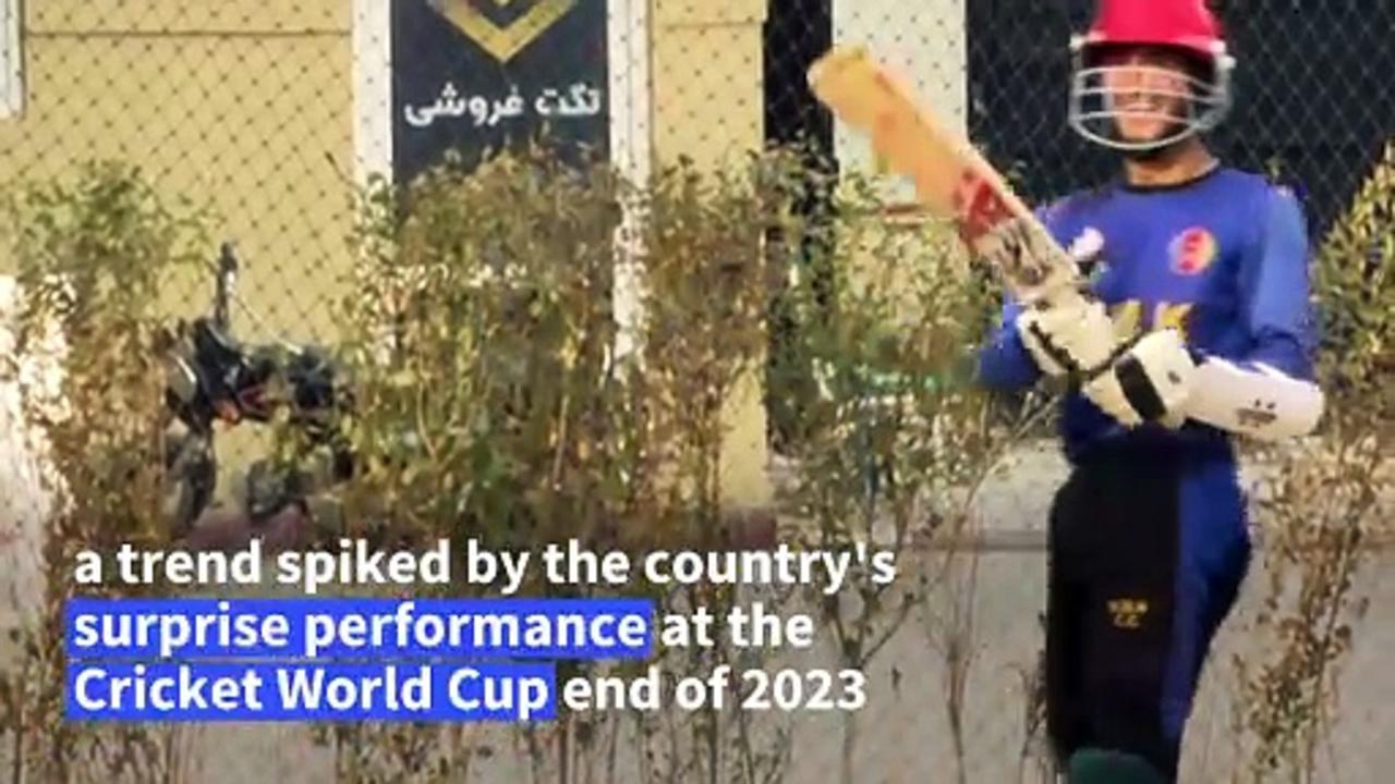 'Crazy for cricket': Young Afghans inspired by national team's success